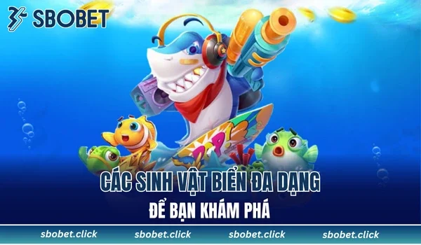 Các sinh vật biển đa dạng để bạn khám phá