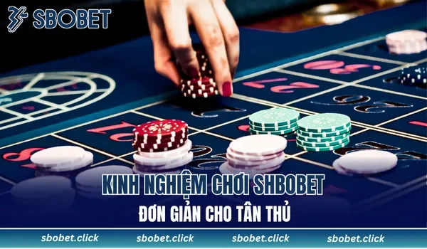 Kinh nghiệm chơi SBOBET đơn giản cho tân thủ