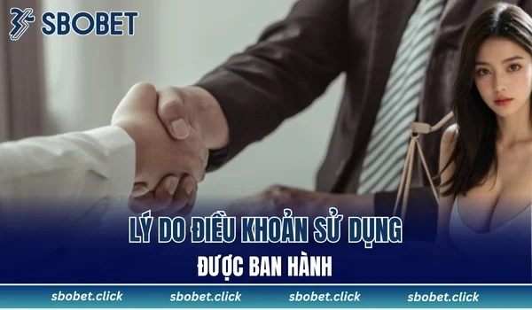 Lý do điều khoản sử dụng được ban hành
