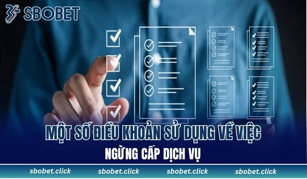 Một số điều khoản sử dụng về việc ngừng cấp dịch vụ