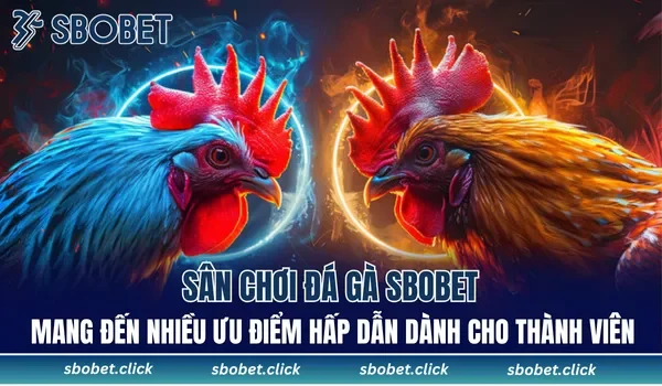 Sân chơi đá gà SBOBET mang đến nhiều ưu điểm hấp dẫn dành cho thành viên